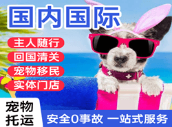 莫高航空邮寄国际宠物托运 【国